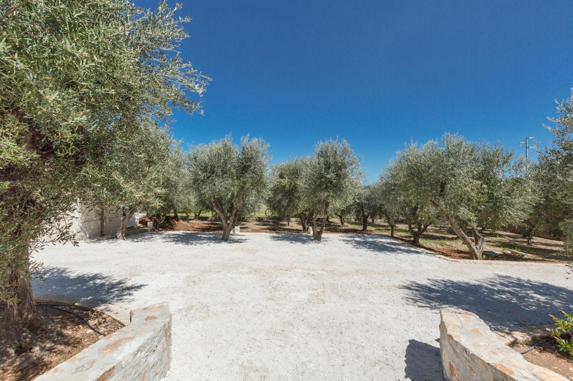 Villa Trulli Ulivo Di Puglia By Barbarhouse à Selva Di Fasano Extérieur photo